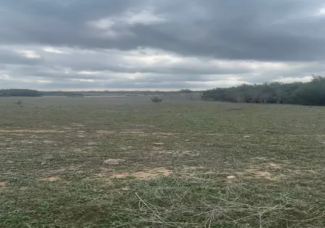 Photo 2 of Land for sale at 0000 Bison Ridge Dr #Lot 155, Stephenville, TX 76401 | MLS# 21115620 | Listing updated on 2026-07-20