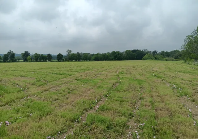 Homes for sale in Chilton, TX | Tbd Hwy 7, Chilton, TX 76632 | MLS# 21111156