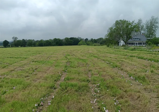 Homes for sale in Chilton, TX | Tbd Hwy 7, Chilton, TX 76632 | MLS# 21111156