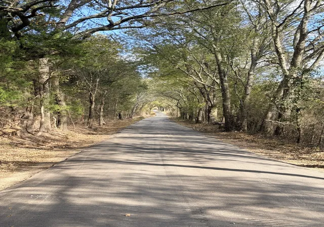 Homes for sale in Emory, TX | Lot #7 Tbd Rs County Road 1150, Emory, TX 75440 | MLS# 21116754
