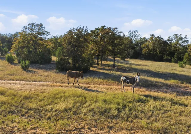 Photo 2 of Land for sale at 11051 Brock Hwy, Lipan, TX 76462 | MLS# 21115992 | Listing updated on 2026-08-26
