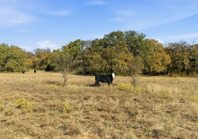 Photo 3 of Land for sale at 11051 Brock Hwy, Lipan, TX 76462 | MLS# 21115992 | Listing updated on 2026-08-26