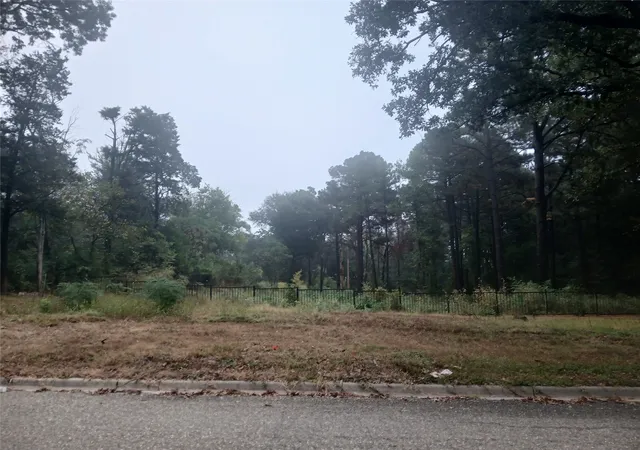 Land for sale at 0 Mill Run Rd, Athens, TX 75751 | MLS# 21110032