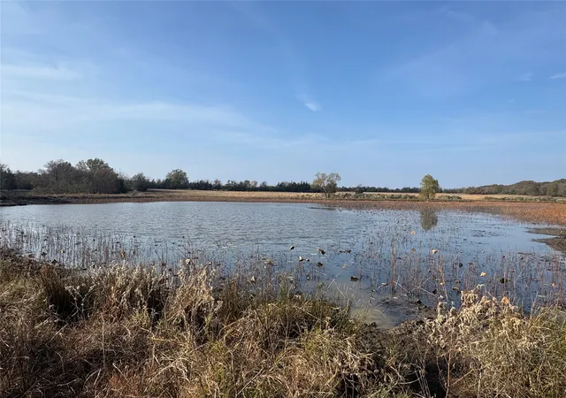 Photo 1 of Land for sale at 000 Fm 44, Annona, TX 75550 | MLS# 21117185 | Listing updated on 2026-08-24