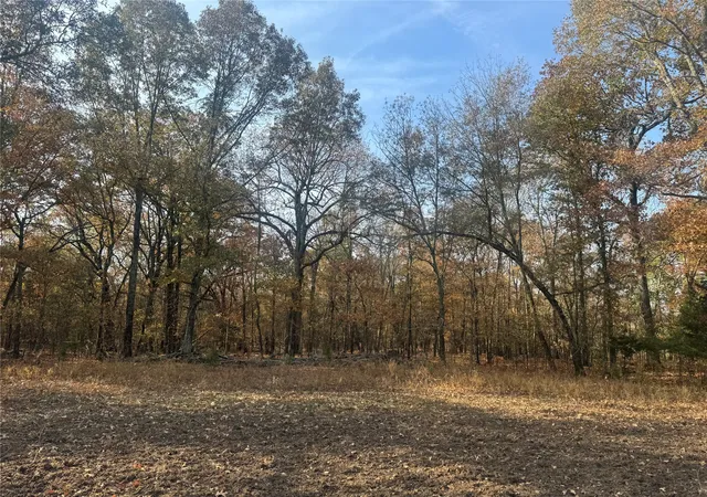 Photo 3 of Land for sale at 000 Fm 44, Annona, TX 75550 | MLS# 21117185 | Listing updated on 2026-08-24