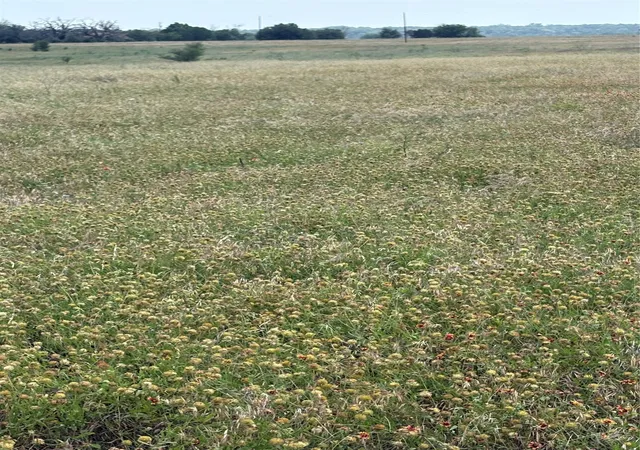 Homes for sale in China Spring, TX | Tbd Lot 2 Cr 3565, China Spring, TX 76633 | MLS# 21117027