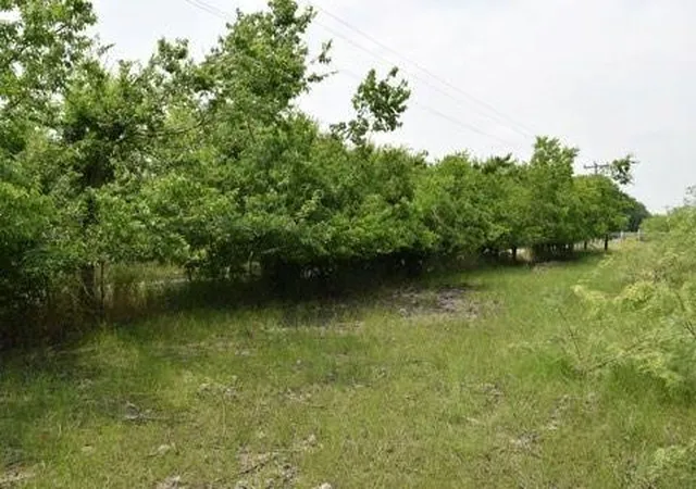 Photo 1 of Land for sale at 0 Cr 283, Terrell, TX 75160 | MLS# 21119367 | Listing updated on 2026-08-21