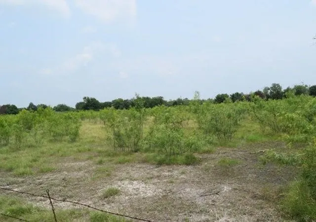 Photo 2 of Land for sale at 0 Cr 283, Terrell, TX 75160 | MLS# 21119367 | Listing updated on 2026-08-21