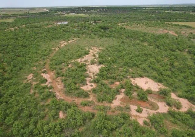 Homes for sale in Anson, TX | Tbd Fm 600, Anson, TX 79501 | MLS# 21119343