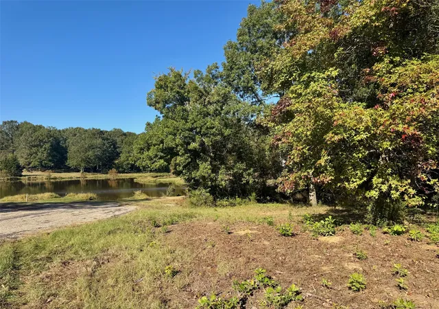 Homes for sale in Pittsburg, TX | Lot 18 County Road 1216, Pittsburg, TX 75686 | MLS# 21120583