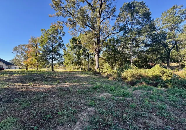 Homes for sale in Pittsburg, TX | Lot 18 County Road 1216, Pittsburg, TX 75686 | MLS# 21120583
