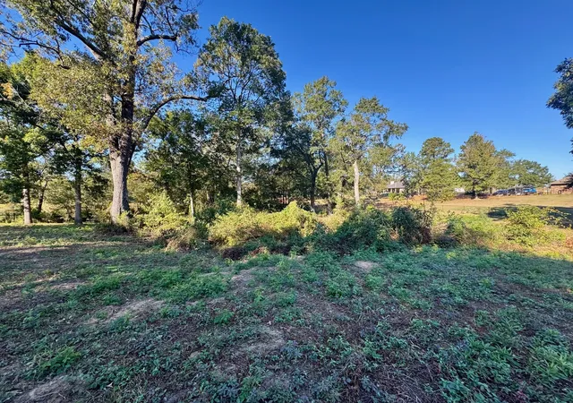 Homes for sale in Pittsburg, TX | Lot 18 County Road 1216, Pittsburg, TX 75686 | MLS# 21120583