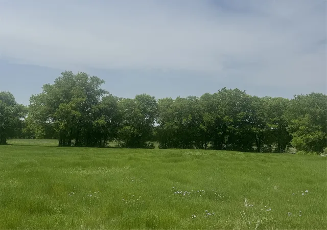 Homes for sale in Decatur, TX | 418 Private Road 4512, Decatur, TX 76234 | MLS# 21095601