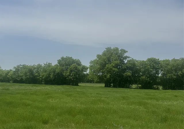 Homes for sale in Decatur, TX | 418 Private Road 4512, Decatur, TX 76234 | MLS# 21095601