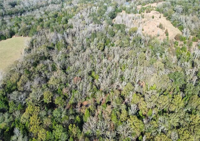 Photo 3 of Land for sale at Tbd Lot 2 Vz County Road 4134, Canton, TX 75103 | MLS# 21121085 | Listing updated on 2026-07-20