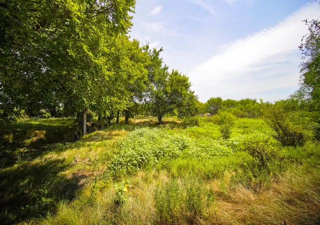 Homes for sale in Jacksboro, TX | 2947 Acres Ballard Rd, Jacksboro, TX 76458 | MLS# 21121379