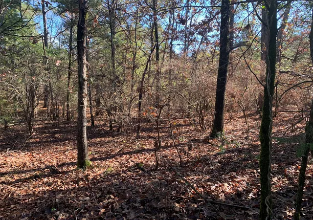 Photo 11 of Land for sale at 905 W Cayuga Dr, Athens, TX 75751 | MLS# 21121907 | Listing updated on 2026-07-10