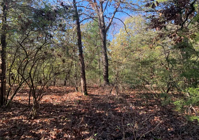 Photo 4 of Land for sale at 905 W Cayuga Dr, Athens, TX 75751 | MLS# 21121907 | Listing updated on 2026-07-10