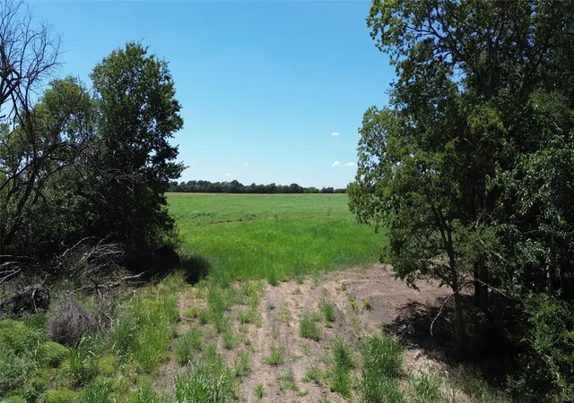 Photo 3 of Land for sale at Tbd Cr 3140, Cooper, TX 75432 | MLS# 21120316 | Listing updated on 2026-09-20
