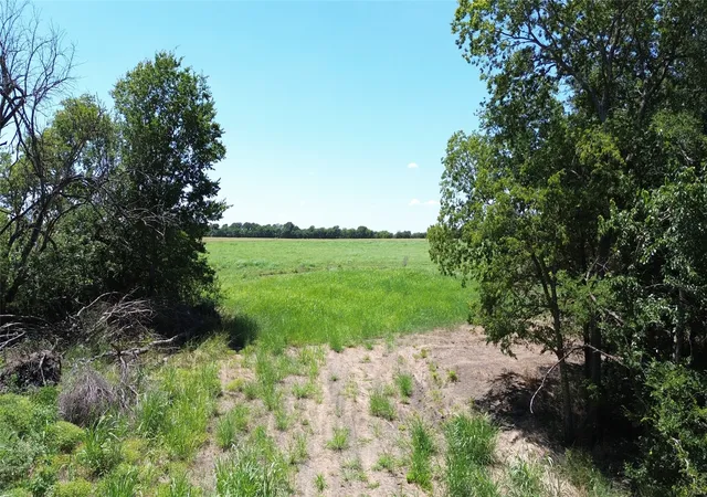 Photo 4 of Land for sale at Tbd Cr 3140, Cooper, TX 75432 | MLS# 21120316 | Listing updated on 2026-09-20