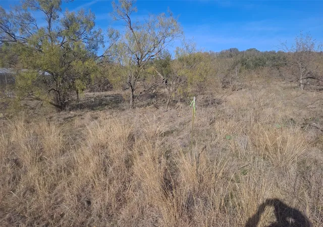 Photo 2 of Land for sale at 0 Oak Meadow Dr, May, TX 76857 | MLS# 21123236 | Listing updated on 2026-07-24