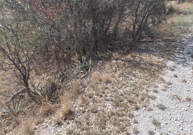 Photo 3 of Land for sale at 0 Oak Meadow Dr, May, TX 76857 | MLS# 21123236 | Listing updated on 2026-07-24