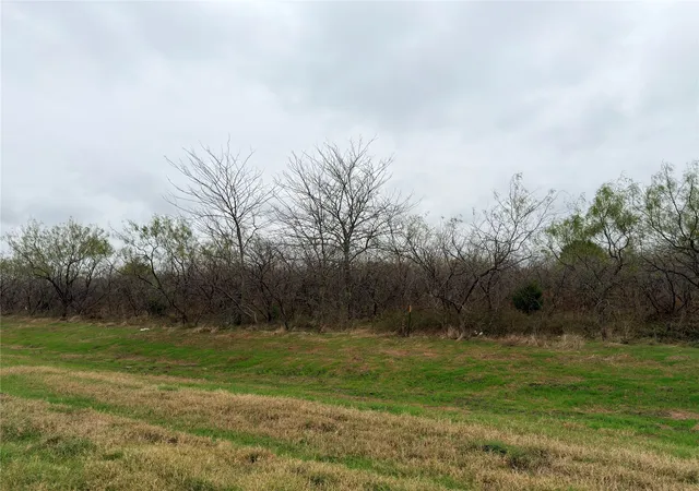 Photo 2 of Land for sale at Lot 3 2 Hwy 31 Byp, Corsicana, TX 75110 | MLS# 21120796 | Listing updated on 2026-09-23