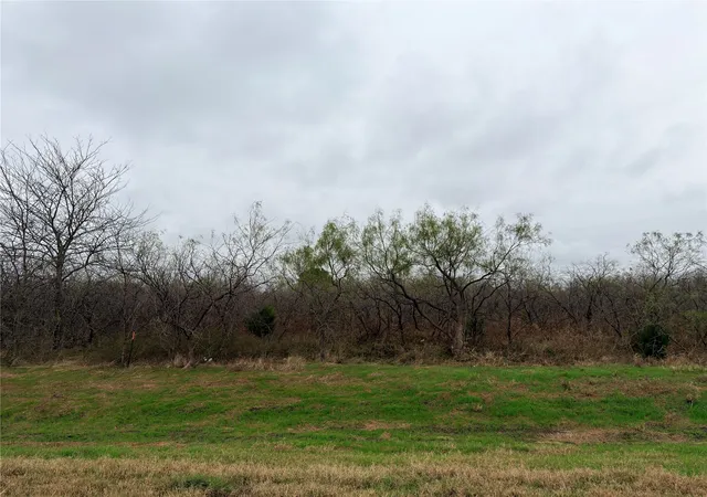 Photo 3 of Land for sale at Lot 3 2 Hwy 31 Byp, Corsicana, TX 75110 | MLS# 21120796 | Listing updated on 2026-09-23