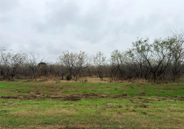 Photo 1 of Land for sale at Tract 129C Hwy 31 Byp, Corsicana, TX 75110 | MLS# 21120769 | Listing updated on 2026-09-23