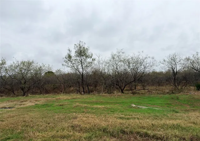 Photo 4 of Land for sale at Tract 129C Hwy 31 Byp, Corsicana, TX 75110 | MLS# 21120769 | Listing updated on 2026-09-23