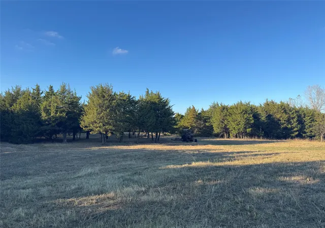 Homes for sale in Honey Grove, TX | 3750 Acres Fm 38 Tx, Honey Grove, TX 75446 | MLS# 21124306