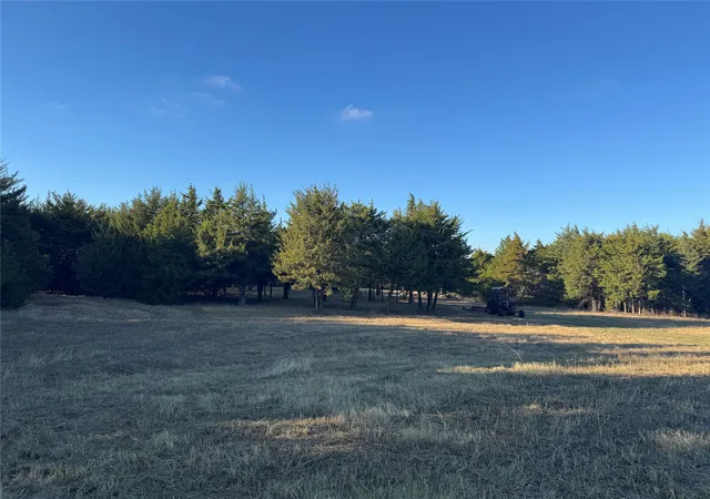 Homes for sale in Honey Grove, TX | 3750 Acres Fm 38 Tx, Honey Grove, TX 75446 | MLS# 21124306