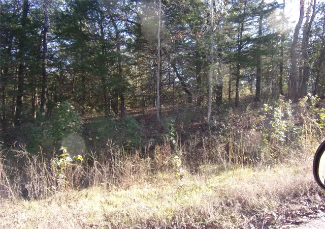 Land for sale at 000 Woodcreek Dr, Murchison, TX 75778 | MLS# 21122464