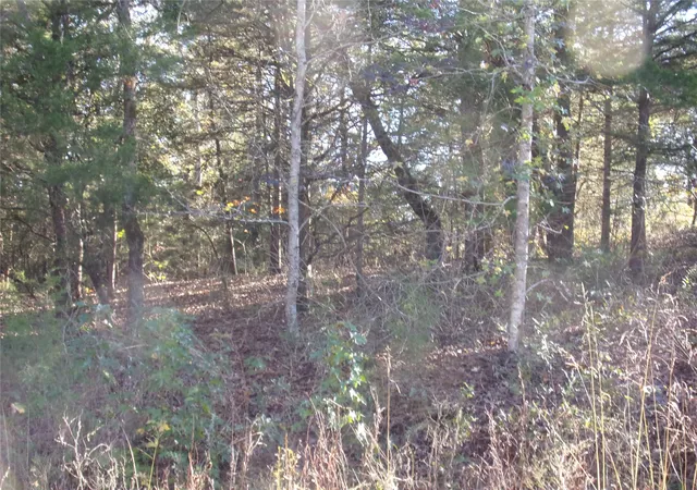 Photo 2 of Land for sale at 000 Woodcreek Dr, Murchison, TX 75778 | MLS# 21122464 | Listing updated on 2026-08-27