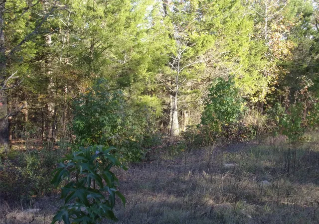 Photo 3 of Land for sale at 000 Woodcreek Dr, Murchison, TX 75778 | MLS# 21122464 | Listing updated on 2026-08-27