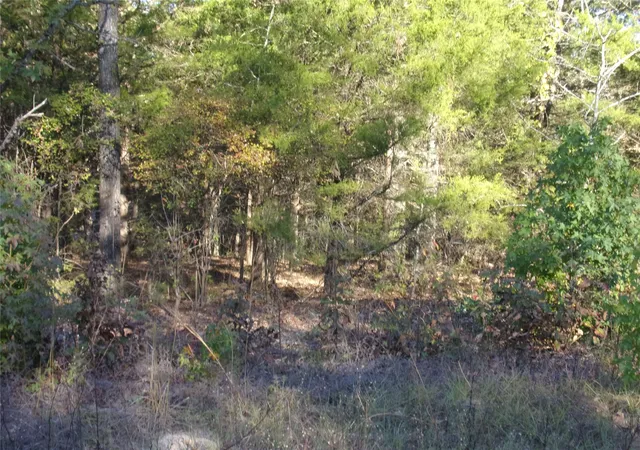 Photo 3 of Land for sale at 000 Woodcreek Dr, Murchison, TX 75778 | MLS# 21122464 | Listing updated on 2026-08-27
