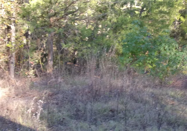 Photo 4 of Land for sale at 000 Woodcreek Dr, Murchison, TX 75778 | MLS# 21122464 | Listing updated on 2026-08-27