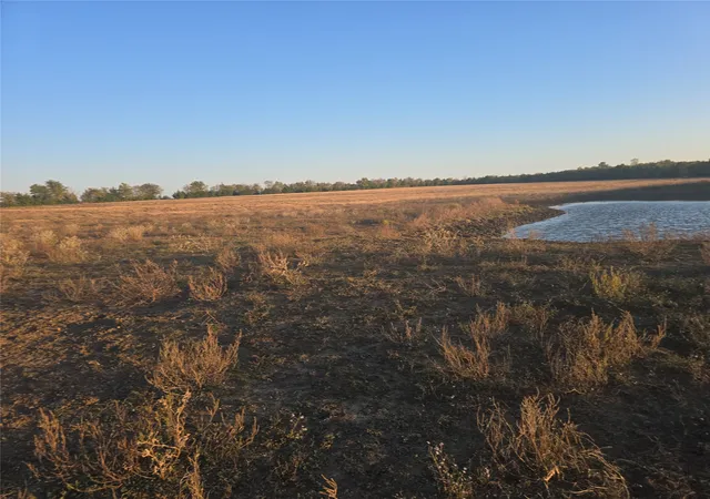 Homes for sale in Honey Grove, TX | 35acres 801 Cr 36010 Tx, Honey Grove, TX 75446 | MLS# 21126279