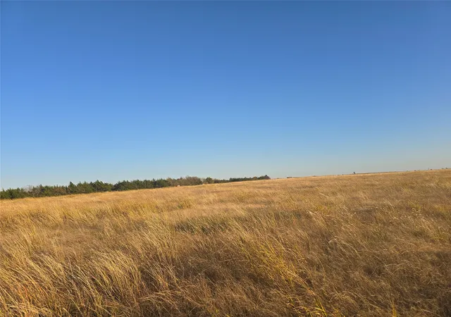 Homes for sale in Honey Grove, TX | 35acres 801 Cr 36010 Tx, Honey Grove, TX 75446 | MLS# 21126279