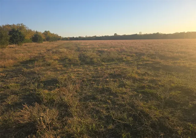 Homes for sale in Honey Grove, TX | 35acres 801 Cr 36010 Tx, Honey Grove, TX 75446 | MLS# 21126279