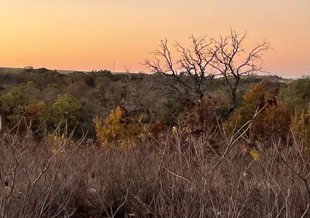 Photo 3 of Land for sale at Tbd Tract 28 Indian Springs, Indian Gap, TX 76531 | MLS# 21120096 | Listing updated on 2026-09-18