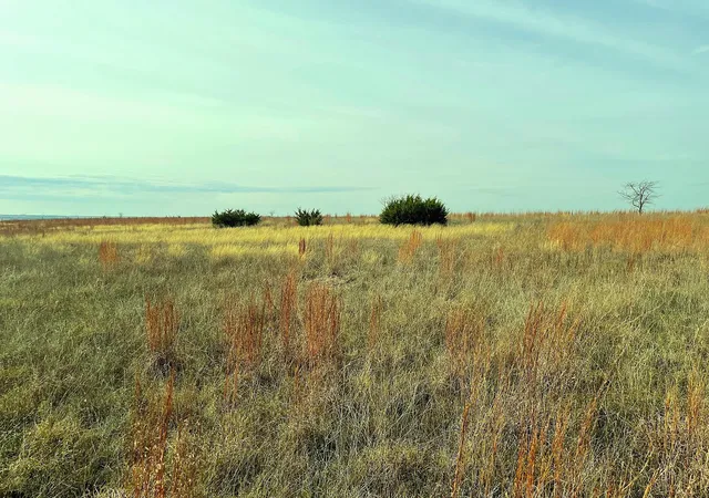 Photo 3 of Land for sale at 2245 County Road 619, Hamilton, TX 76531 | MLS# 21127174 | Listing updated on 2026-07-27