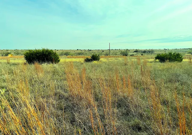 Photo 4 of Land for sale at 2245 County Road 619, Hamilton, TX 76531 | MLS# 21127174 | Listing updated on 2026-07-27
