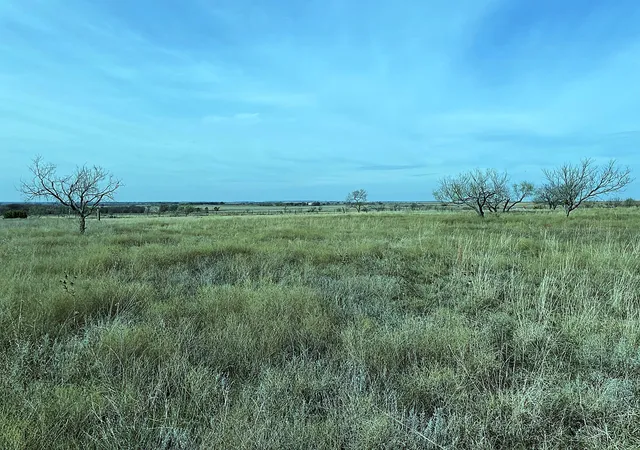 Photo 3 of Land for sale at 2335 County Road 619, Hamilton, TX 76531 | MLS# 21127181 | Listing updated on 2026-07-27