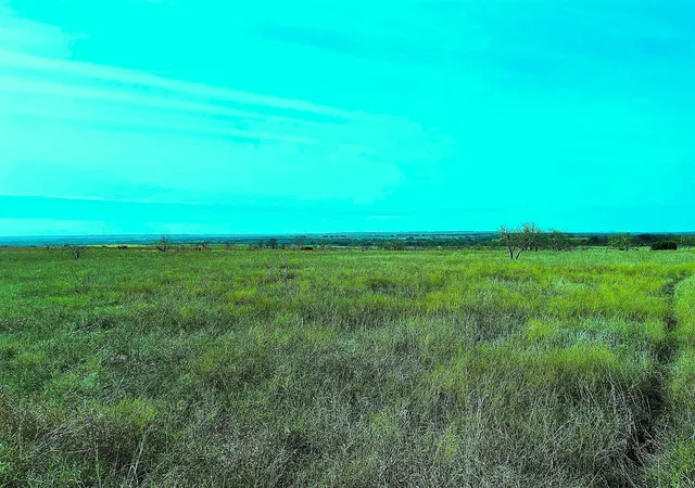 Photo 3 of Land for sale at 2335 County Road 619, Hamilton, TX 76531 | MLS# 21127181 | Listing updated on 2026-07-27