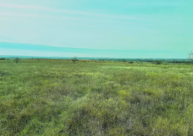 Photo 4 of Land for sale at 2335 County Road 619, Hamilton, TX 76531 | MLS# 21127181 | Listing updated on 2026-07-27