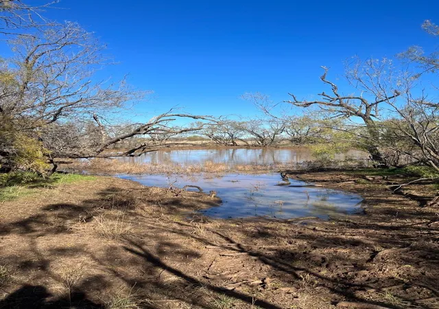 Homes for sale in Trent, TX | Tbd 15850 Acres, Trent, TX 79561 | MLS# 21127441