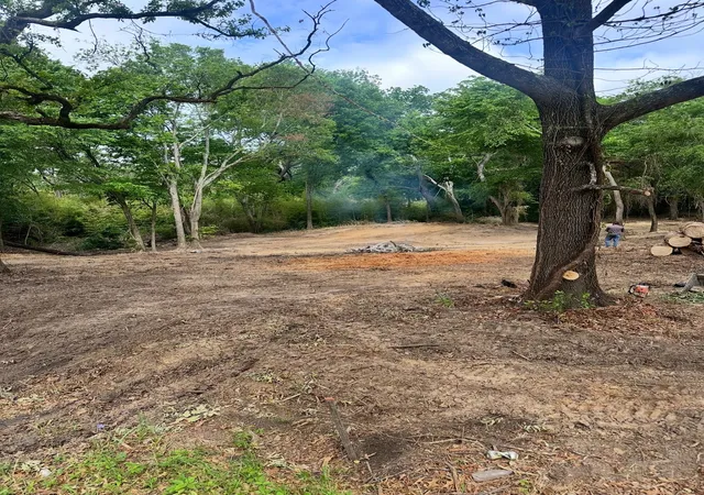 Photo 2 of Land for sale at 1114 Owhyhe Rd #R, Tool, TX 75143 | MLS# 21116001 | Listing updated on 2026-07-18