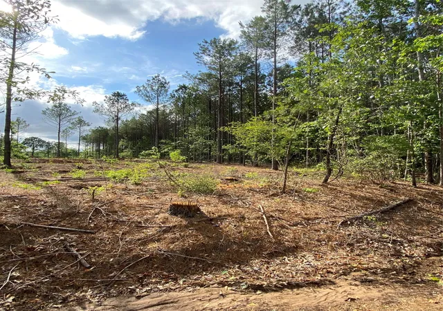 Homes for sale in Plain Dealing, LA | 000 Old Plain Dealing Rd, Plain Dealing, LA 71064 | MLS# 21126482