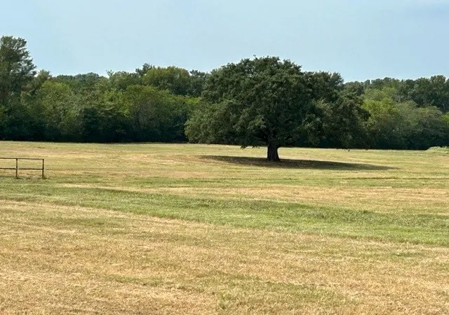 Photo 4 of Sale Pending at Tbd Cr 1148 #1, Cumby, TX 75433 | MLS# 21124588 | Listing updated on 2026-08-24